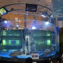 간전중앙로 | 전남 구례 섬진강어류생태관 아이와 가볼만한 실내여행지 솔직 후기