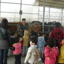 근흥목장 이미지