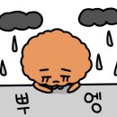 청춘돈가스