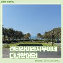 S당구클럽 | 아이와 함께한 센타라미라지 무이네 솔직후기 재방문 글쎄