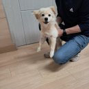 군서면보건지소 이미지