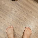 회진야식