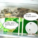 미노하우스