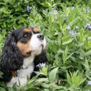 리더스 동물병원 이미지