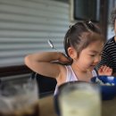 숙소, 조식 장어덮밥까지 즐길 수 있는 '단양 파인 카라반 캠핑장’ 902호 가성비 좋아요 | 내돈내산 후기