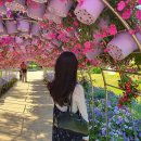 유림원색 | 2026 유성 봄꽃 전시회 후기 대전 유림공원 데이트 코스 추천 포토존 가볼만한곳