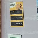 신라뽀또 이미지
