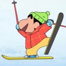 알펜시아 스키장 다녀온 일기 2025.02.08~02.09
