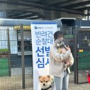 금옥여고보도육교 밑 | 🐶 [반려일기] 부천 상동은 김마리가 지킨다멍 😎 | 부천시 반려견 순찰대 테스트 후기, 합격 꿀팁✨