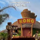 월드전장 | 유니버셜재팬 슈퍼 닌텐도월드 마리오카트 쿠파의도전장, 동키콩 쉐이크