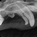 스무해 동물병원 이미지