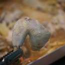 바다를품은해적선 이미지