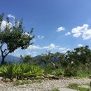 문수리이야기 이미지