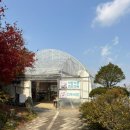 덕평 | [망고한일상] 이천 덕평 공룡 수목원 주말 후기