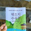 파주빵 청석점 | 튤립 만발, 파주핫플 제니 픽! 벽초지수목원 튤립축제