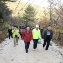 양주 우이령길 예약없이 걸을 수 있다 …내달부터 전면 개방 이미지