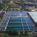 성남대로1416번길 이미지