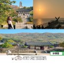 숲쟁이꽃동산 | 영광 가볼만한곳 백수해안도로 서해 일몰 명소 불갑산 불갑사 숲쟁이꽃동산 전라도 여행지 추천