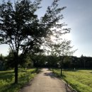 서화생활체육공원 농구장 | 15분도시 부산 생활체육시설 | 푸릇푸릇한 잔디 옆 맥도생태공원농구장