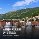 하얀고래in백야 | [노르웨이] 피오르드 2박 3일 코스 | 오슬로·플롬 산악철도·베르겐 동선 (2편)