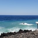 동동카페 이미지