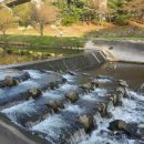 씨유 의정부운동장점 | 도시농부 파파캡틴의 의정부 힐링코스 탐방 2편: 의정부 부용천 물길 산책로 걷기 후기