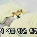 서현푸드