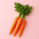 제이짐휘트니스 이미지