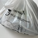 고돼지고양