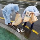 고일주유소 이미지