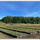 (주)나무재 이미지