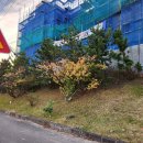 신효동-25 이미지