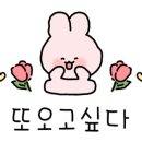 스테이 해옥 이미지