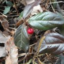 서망항2 이미지