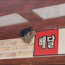 한숲농장 이미지