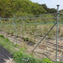 동곡농장 이미지