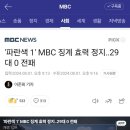 '파란색 1' MBC 징계 효력 정지‥29대 0 전패 이미지