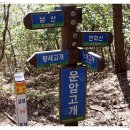 연화산이야기
