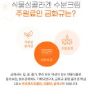 금화유 이미지