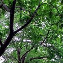 선바위역 6번 출구 이미지