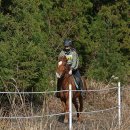 황골목장 이미지