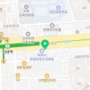 마포 요미독앤캣 강아지분양 고양이분양 이미지