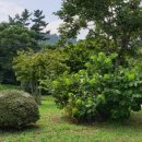 김순선조산원 이미지