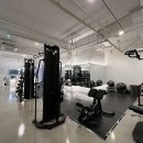 어뮤즈핏 이미지