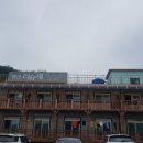 리슈채 이미지