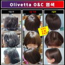 월드헤어로드 이미지