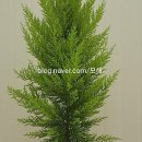 아델라농장 이미지