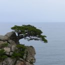 동해물과백두산이 이미지