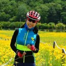 화천산소길 이미지