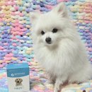 제이원피앤지 이미지